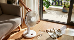 14 Best Home Cooling Fans for Every Room and Budget in 2027
