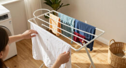 I've Yet To Find A Clothes Airer As Stylish As This Joseph Joseph Design